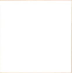 Birketræsramme, smal - 40 x 40 cm - Type 810