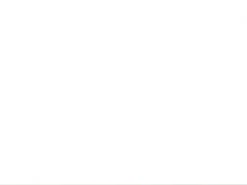 Birketræsramme, smal - Type 810