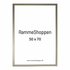 Champagne aluramme, mat, smal - 50x70 cm - Type 9042