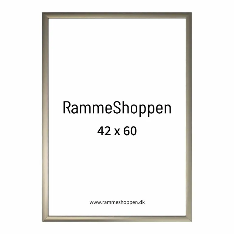 Champagne aluramme, mat, smal - Type 9042