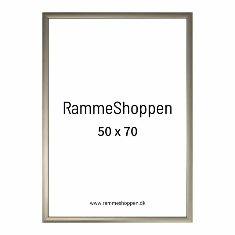 Champagne aluramme, mat, smal - Type 9042