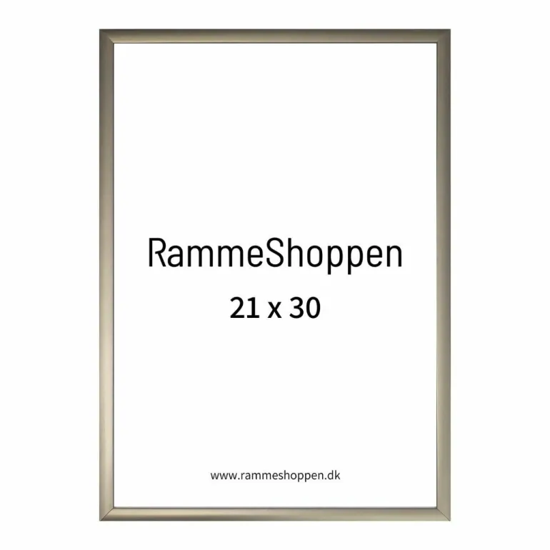 Champagne aluramme, mat, smal - Type 9042