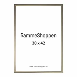 Champagne aluramme, mat, smal - 30x42 cm - Type 9042