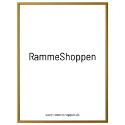 Guld aluramme, mat, smal - Type 9043