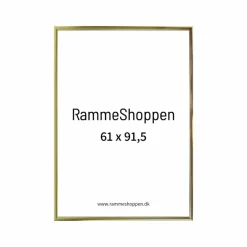 Guldramme, aluminium, blank, smal, 61 x 91,5 cm, Type 9012