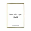 Guldramme, aluminium, blank, smal, 40 x 80 cm, Type 9012