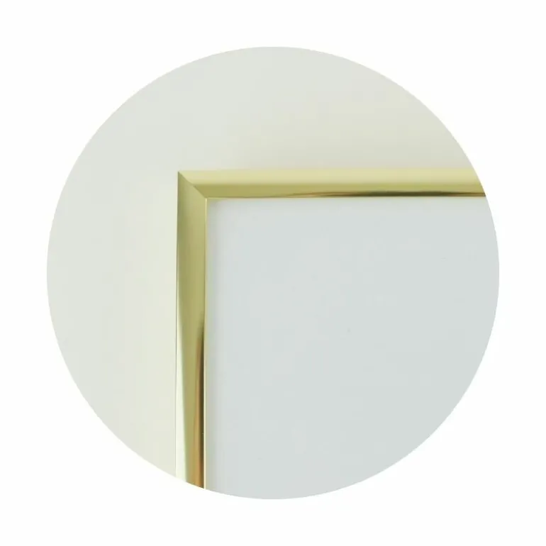 Guldramme, aluminium, blank, smal, 40 x 80 cm, Type 9012