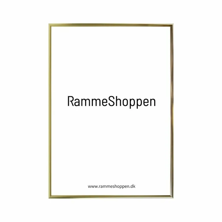 Guldramme, aluminium, blank, smal, Type 9012