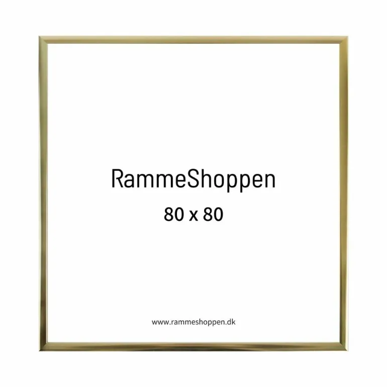 Guldramme, aluminium, blank, smal, Type 9012