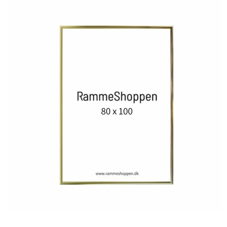 Guldramme, aluminium, blank, smal, Type 9012