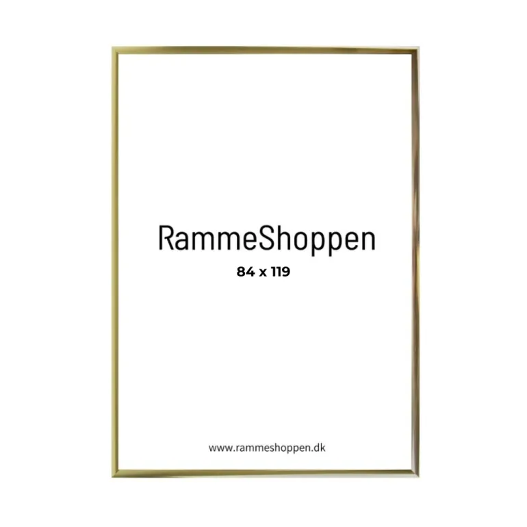 Guldramme, aluminium, blank, smal, Type 9012