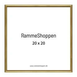 Guldramme, aluminium, blank, smal, Type 9012