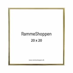 Guldramme, aluminium, blank, smal, Type 9012