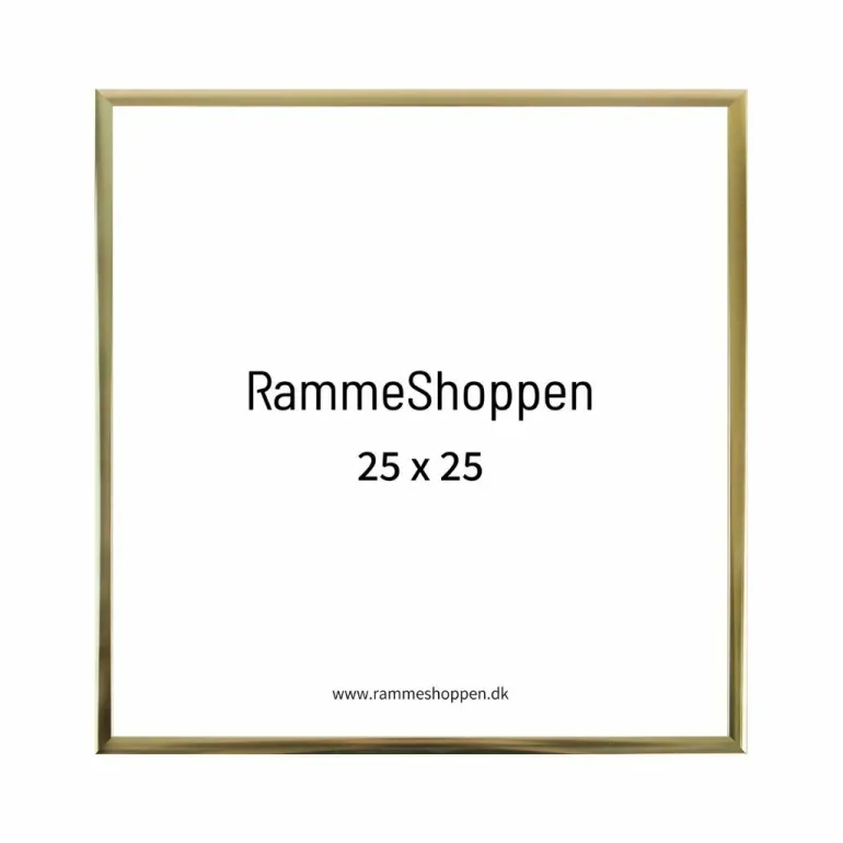 Guldramme, aluminium, blank, smal, Type 9012