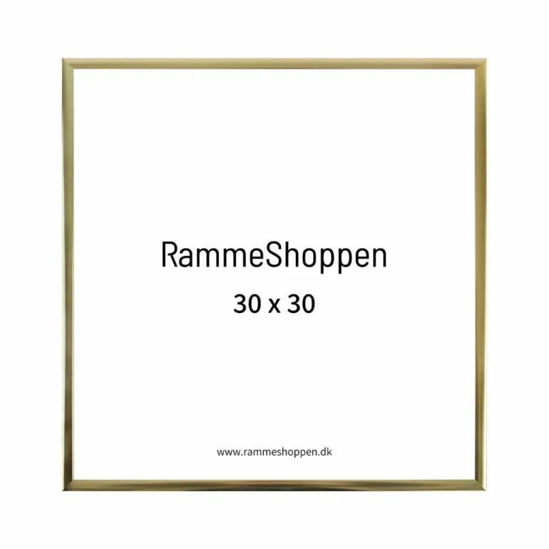 Guldramme, aluminium, blank, smal, Type 9012