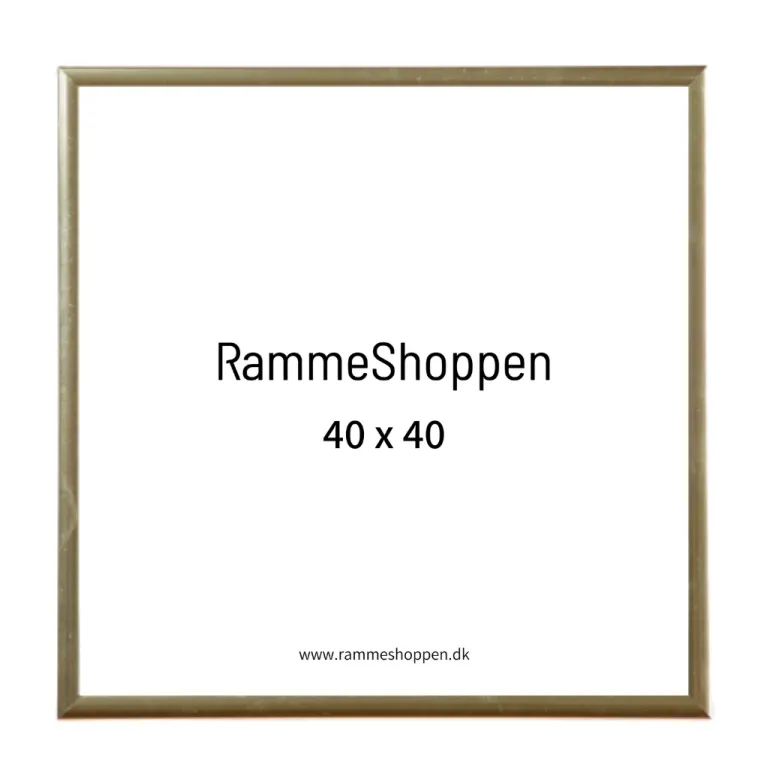 Guldramme, aluminium, blank, smal, Type 9012