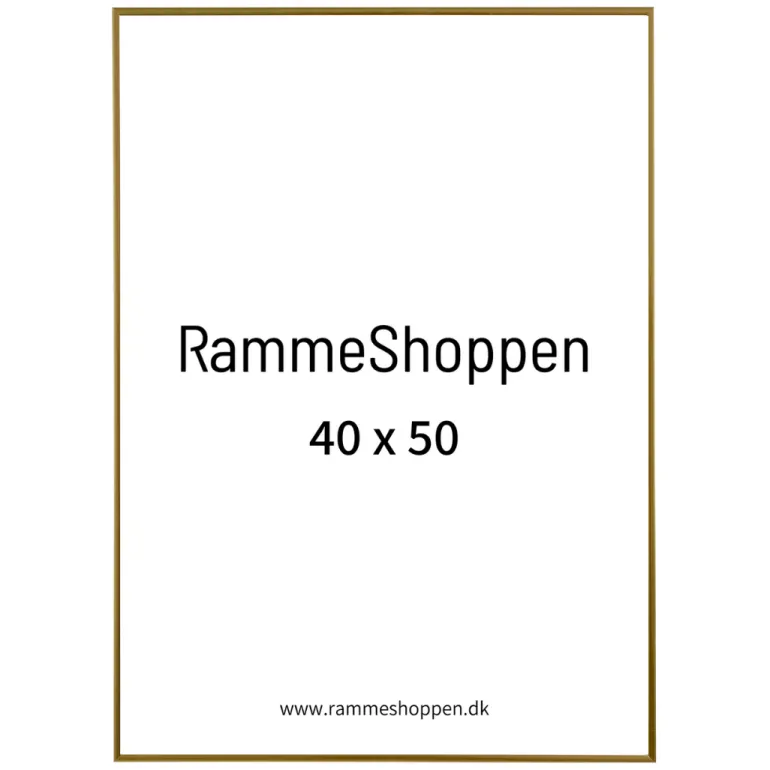 Guldramme, aluminium, blank, smal, Type 9012