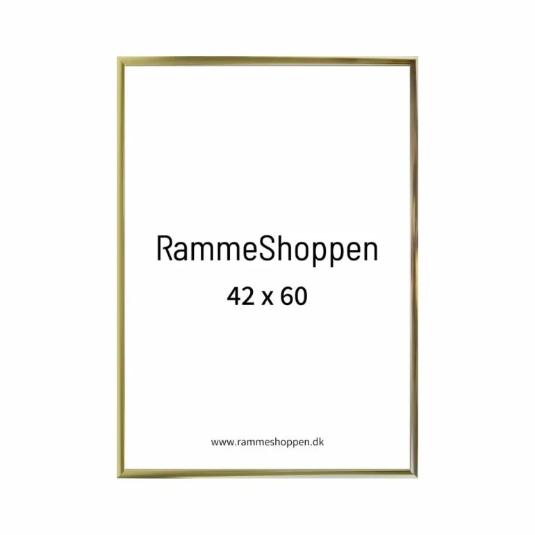 Guldramme, aluminium, blank, smal, Type 9012