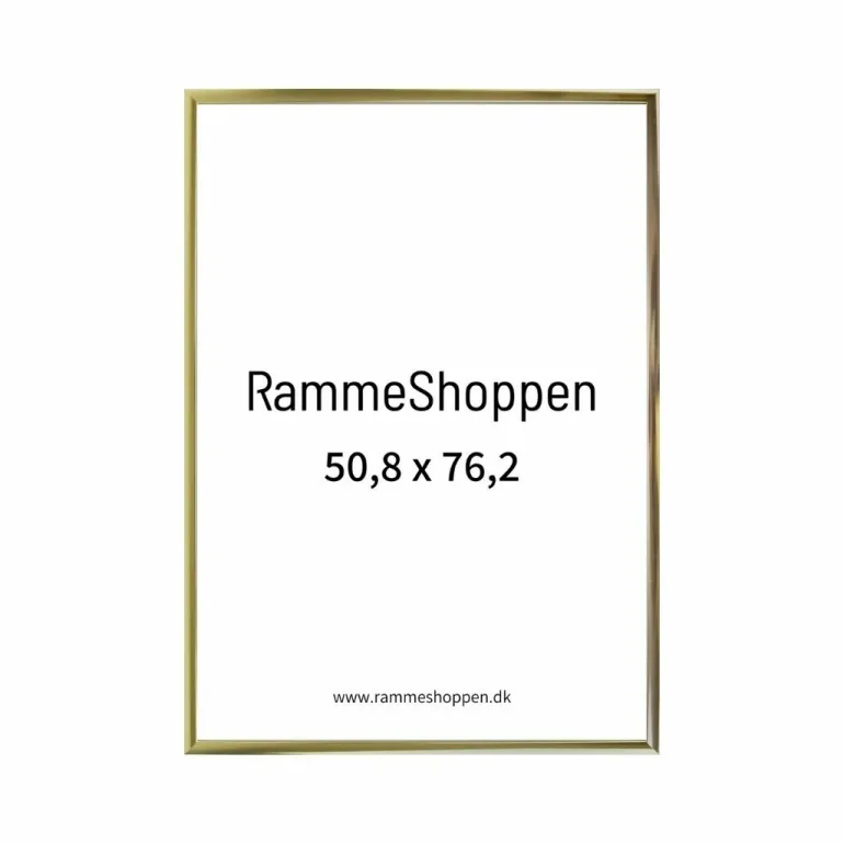 Guldramme, aluminium, blank, smal, Type 9012