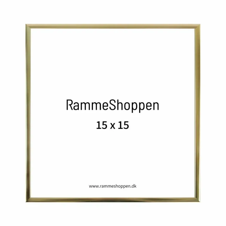 Guldramme, aluminium, blank, smal, Type 9012