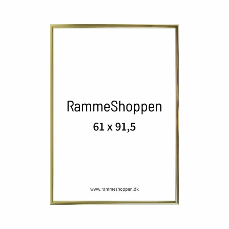 Guldramme, aluminium, blank, smal, Type 9012