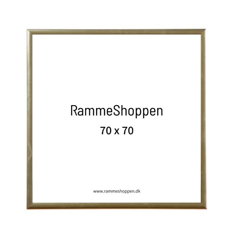 Guldramme, aluminium, blank, smal, Type 9012