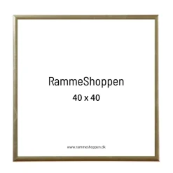 Guldramme, aluminium, blank, smal, 40 x 40 cm, Type 9012