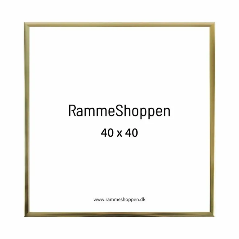 Guldramme, aluminium, blank, smal, 40 x 40 cm, Type 9012