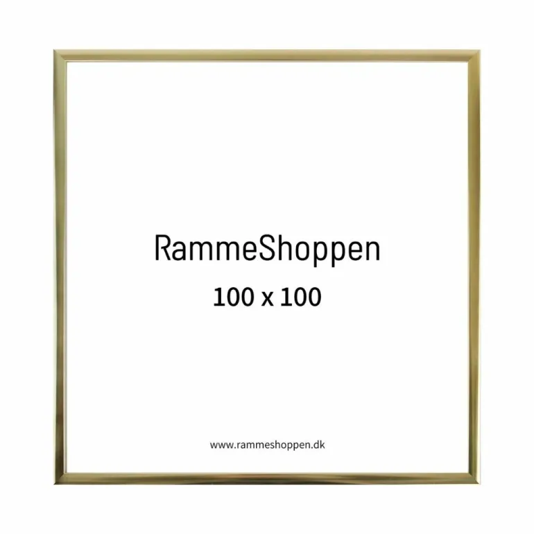Guldramme, aluminium, blank, smal, 100 x 100 cm, Type 9012