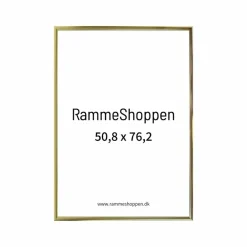 Guldramme, aluminium, blank, smal, 50 x 75 cm, 50,8 x 76,2 cm indhold, Type 9012