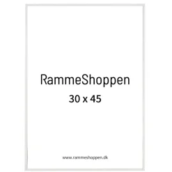 Hvid aluramme, blank, smal, Type 9006