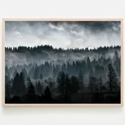 Plakat, Before twilight