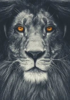 Plakat, Bright yellow eyes