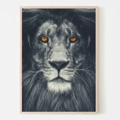 Plakat, Bright yellow eyes