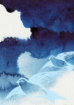 Plakat, Doves on a blue sky