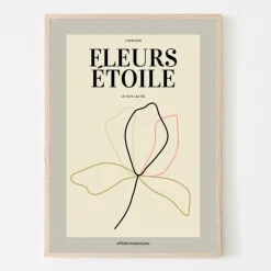 Plakat, Fleurs etoile