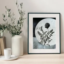 Plakat, Flora Danica I