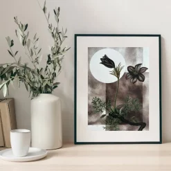 Plakat, Flora Danica II