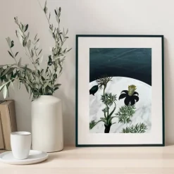 Plakat, Flora Danica IIII