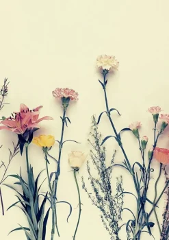 Plakat, From the cross