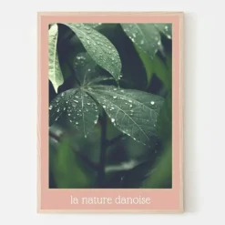 Plakat, La nature