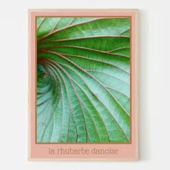 Plakat, La Rhubarbe