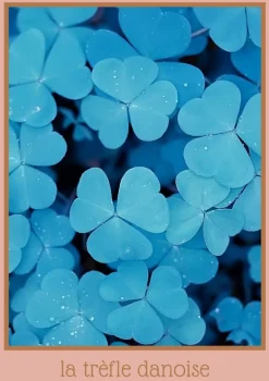 Plakat, La treflé danoise