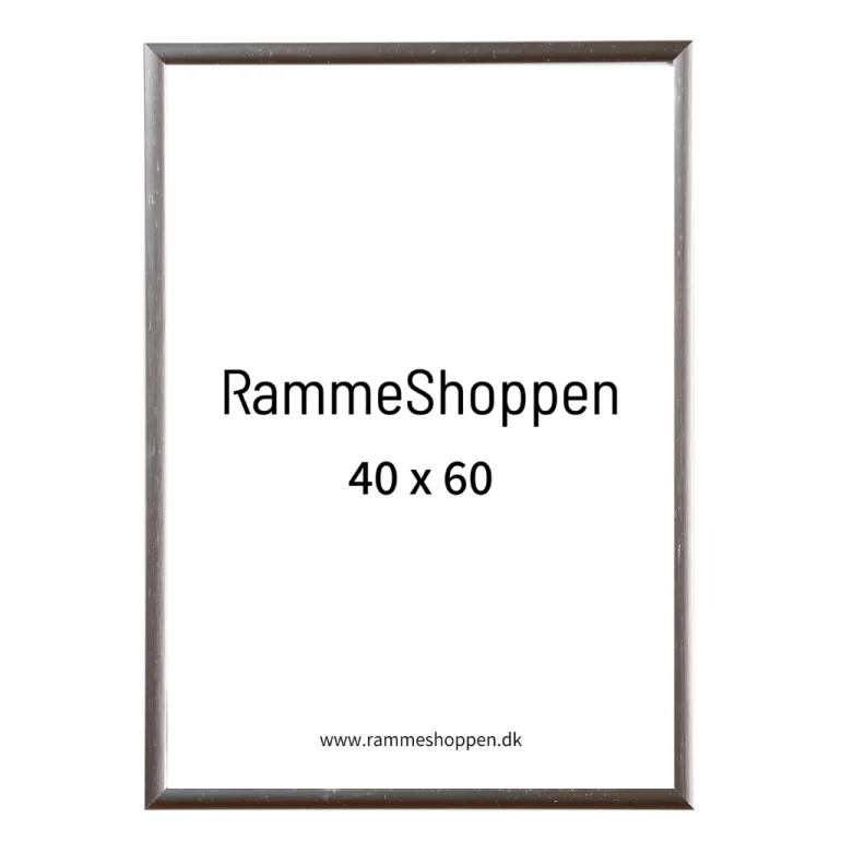 Sølvramme, aluminium, blank, smal, 40 x 60 cm, Type 9013