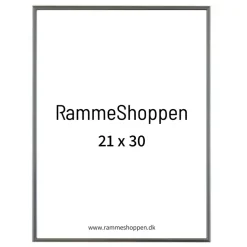 Sølvramme, aluminium, blank, smal, Type 9013