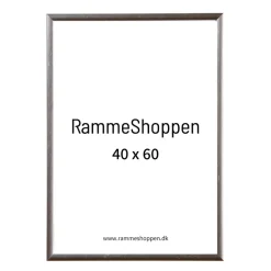 Sølvramme, aluminium, blank, smal, Type 9013