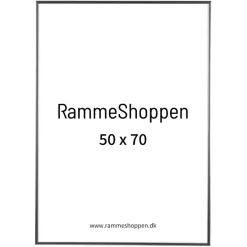 Sølvramme, aluminium, blank, smal, Type 9013