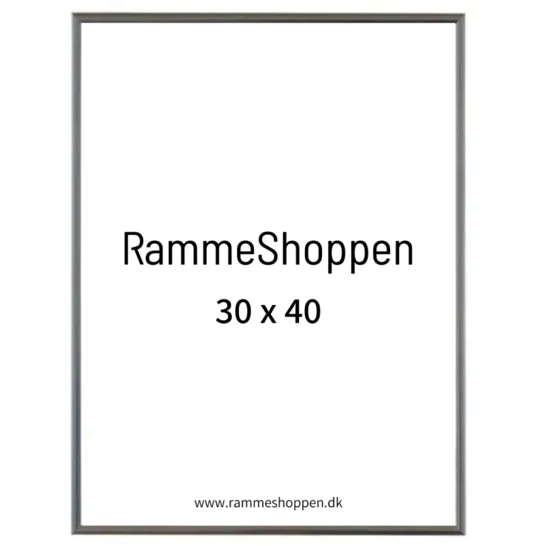 Sølvramme, aluminium, blank, smal, 30 x 40 cm, Type 9013