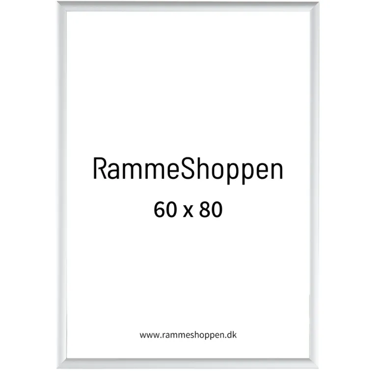 Sølvramme, mat, aluminium, smal, 60 x 80 cm, Type 670