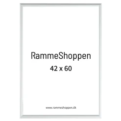 Sølvramme, mat, aluminium, smal, 42 x 60 cm, A2, Type 670